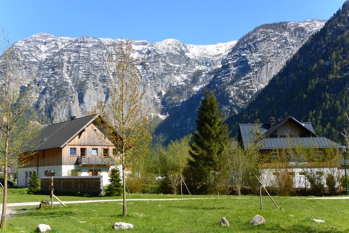 Chalets for Sale in a Resort with Pool near Lake Hallstatt and ski slopes