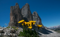 Beautiful Boutique Hotel for Sale in Eastern Dolomites