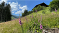 Luxury Flats and Chalets for Sale close to Hinterglemm