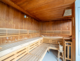 Sunny Mountain Flats for Sale in Schladming