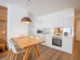 Sunny Mountain Flats for Sale in Schladming
