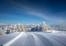 Grebenzen | Kreischberg | Lachtal |Murau