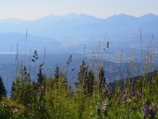 Carinthia | Bad Kleinkirchheim | Naasfeld