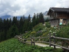 Kitzbühel | Wilder Kaiser