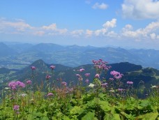 Upper Austria | Salzkammergut