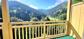 One Bedroom Apartment for Sale, Viehhofen