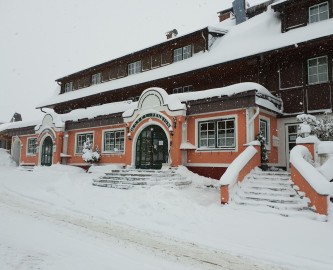 Established Hotel for Sale in Tauplitz