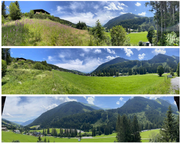 Luxury Flats and Chalets for Sale close to Hinterglemm