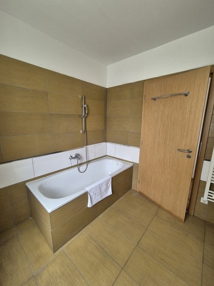 Large Apartment near Zell am See and Kaprun