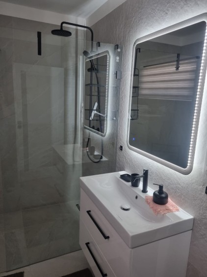 House in Niederöblarn with 4 Units for Sale