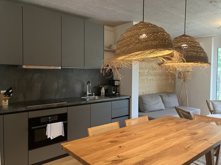 Investment Apartment for Sale, Reiteralm, Schladming