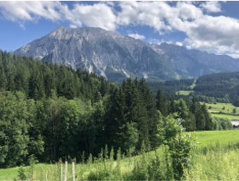 New Ski Apartments for Sale in Tauplitz