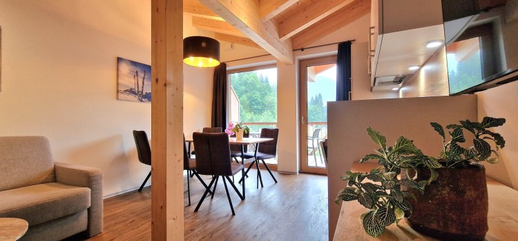 Investment Apartment for Sale in Mühlbach