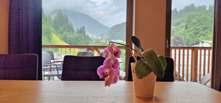 Investment Apartment for Sale in Mühlbach